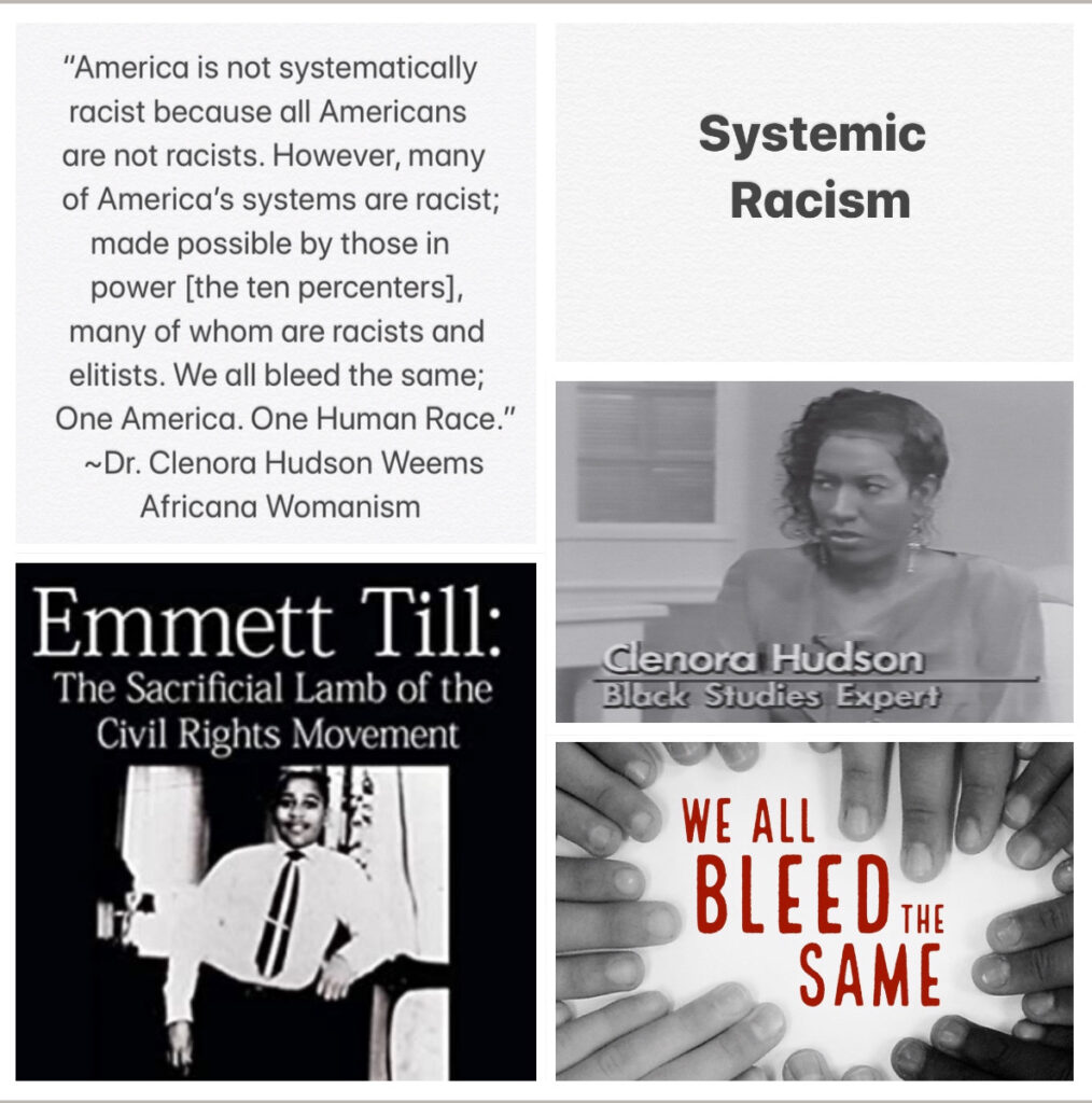 Systemic Racism - Clenora Hudson Weems